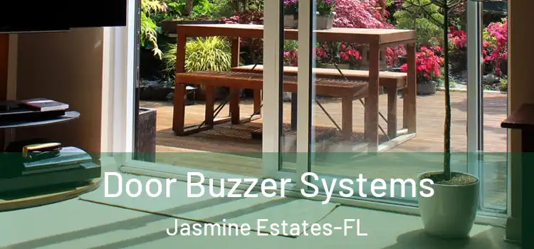 Door Buzzer Systems Jasmine Estates-FL