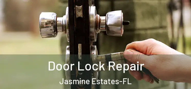 Door Lock Repair Jasmine Estates-FL