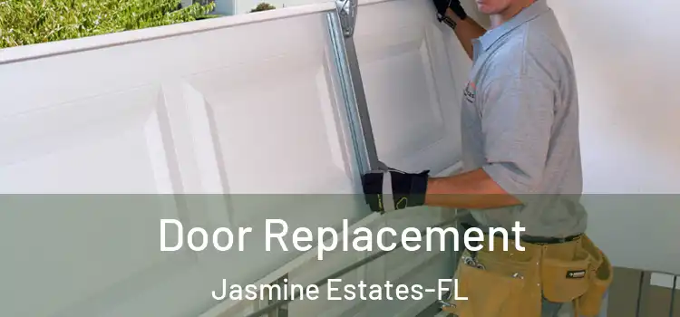 Door Replacement Jasmine Estates-FL