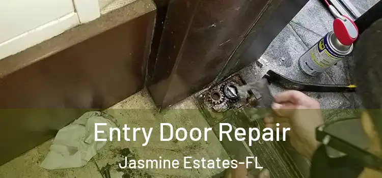 Entry Door Repair Jasmine Estates-FL