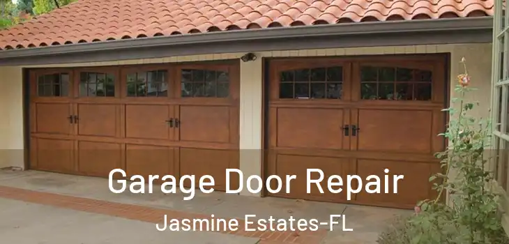 Garage Door Repair Jasmine Estates-FL