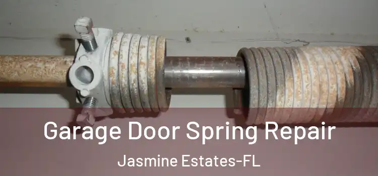 Garage Door Spring Repair Jasmine Estates-FL