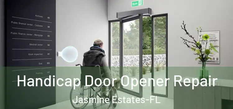 Handicap Door Opener Repair Jasmine Estates-FL