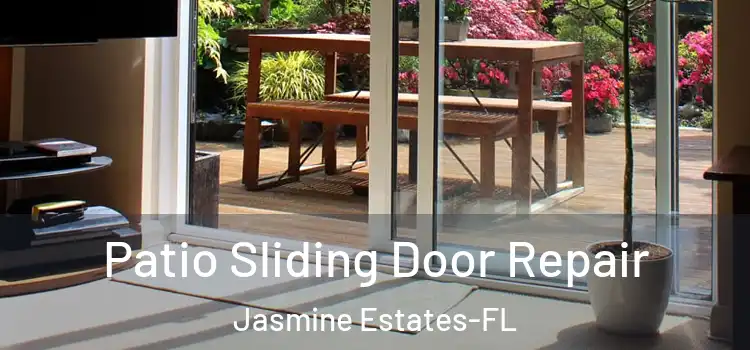 Patio Sliding Door Repair Jasmine Estates-FL