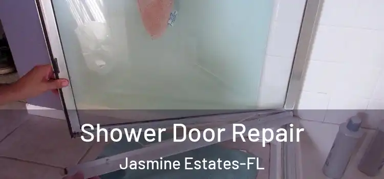 Shower Door Repair Jasmine Estates-FL