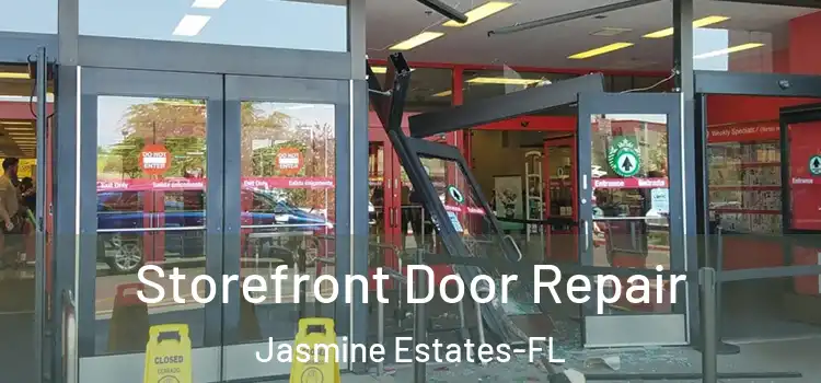 Storefront Door Repair Jasmine Estates-FL